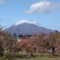 小山内 弘樹（YSparking） (@baroque_r) 's Twitter Profile