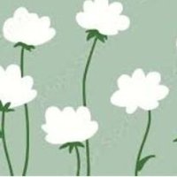 まりめ (@6___abs) 's Twitter Profile