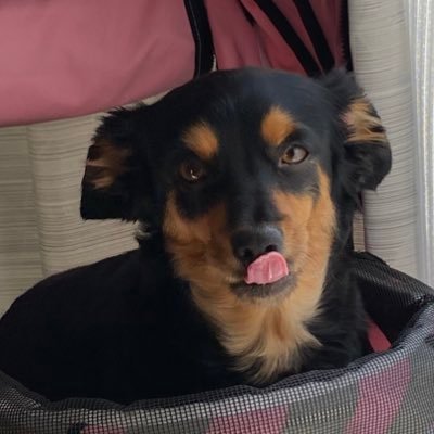 ma_chan_86's profile picture. 趣味用