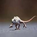 Daniel Livengood - @LivengoodDan - Twitter