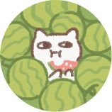 모하 (@gidojoong) 's Twitter Profile Photo 모하 (@gidojoong) 's Twitter Profile Photo