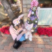みゆう (@miy_ssh9) 's Twitter Profile