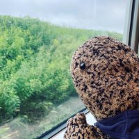 かもがわひじき (@sevenktd) Twitter profile photo