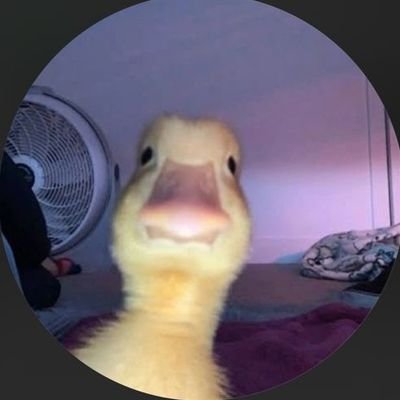 Suryakant098's profile picture. Data science enthusiast || Product design being my hobby ||