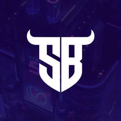 StockBetsIn Profile Picture