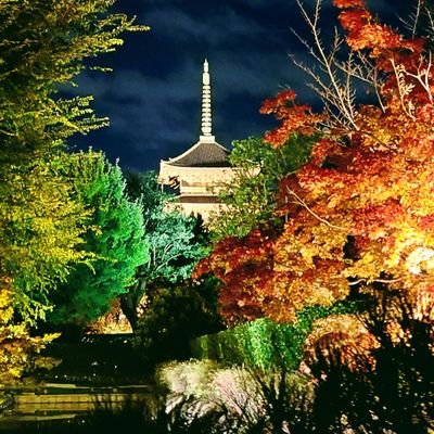 初めまして浅野浩子です。東京都在住ですが…富士山🗻が大好きで花🌷や絶景スポットが大好きです。よくお出かけしていて神奈川県、千葉県、埼玉県、静岡県に行きます。よろしくお願いいたします。