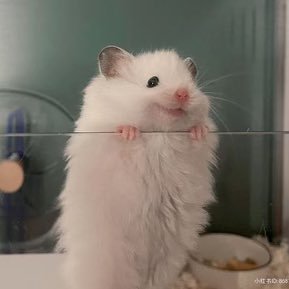 erinivymary's profile picture. The Overwhelming Buzzkill