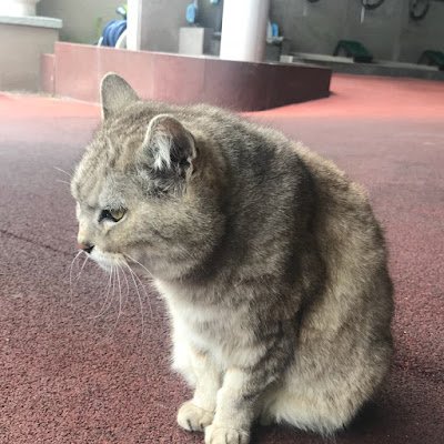 KIKIKI1809's profile picture. 