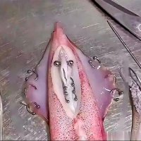 肛交扩张 (@qdsq01) 's Twitter Profile Photo