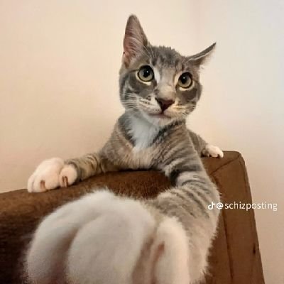 dravin32919781's profile picture. 