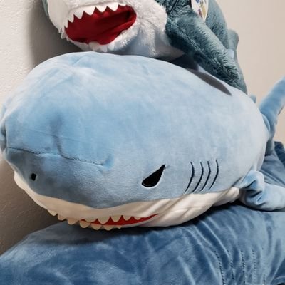 みぃさんのプロフィール画像