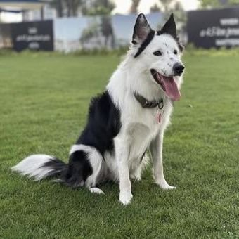 TM183g's profile picture. LIVEとサウナ好きな駄犬𓃡
♫RIZE/FACT/AGE FACTORY/EGG BRAIN/171
♨大東洋/スパメッツァおおたか/ニュージャパンEX/レインボー/喜助の湯