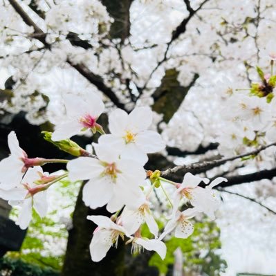 千葉県 仕事終わりとかに飲んで遊びましょう☺️ 仕事柄カウンセリングも致しますので、お悩みあればお気軽に。心の問題は抱え込まずに吐き出しましょう。ご連絡はDMでお願いします☺️裏垢です