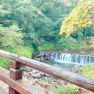 sora___1027's profile picture. 毎日育児と仕事奮闘中🍀 美容. スキンケア.コスメ.香水.滝.お酒.神社巡り.ﾊﾟﾜｽﾎﾟ.ドライブ、漫画が大好きです💐( * ॑˘ ॑* ) #コバさんず