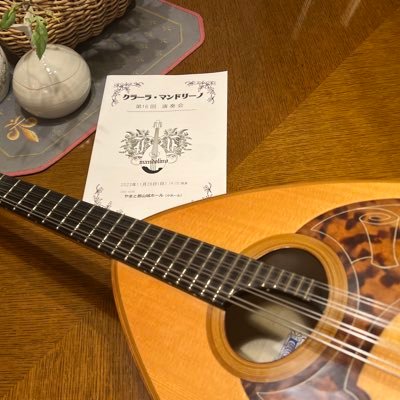 趣味でMandoloncelloを弾いています。