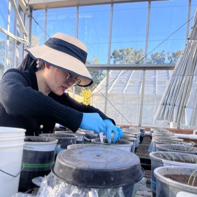 Research Associate|soil C/N cycling|soil microbiome/functional gene|Priming effect|Organic amendment