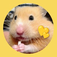 Megu💛77💛Lapis nail✨ (@isomegu1) 's Twitter Profile