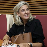 Ana Bellver (@anabellvervox) 's Twitter Profile