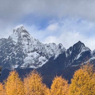 Prismo988021371's profile picture. 