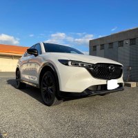 たぬき (@cardriving_ch) Twitter profile photo