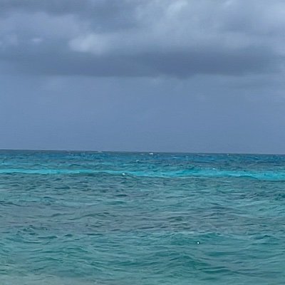 Eliana228549020's profile picture. Peronista hasta los huesos✌️