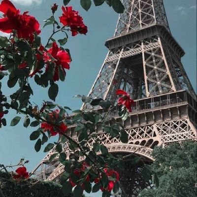 varadharaj893's profile picture. 