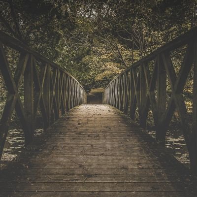 FrankyTrady's profile picture. Trading the markets and living life.