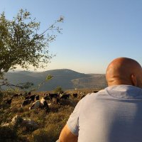 Anan Quzmar (@quzmaranan) 's Twitter Profile Photo Anan Quzmar (@quzmaranan) 's Twitter Profile Photo
