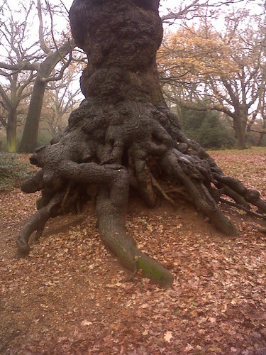 lcrocker1's profile picture. 