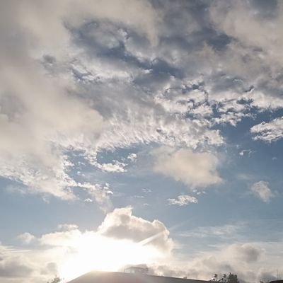 1109quann's profile picture. 