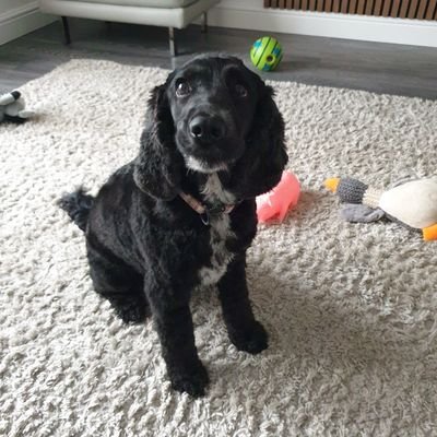 Zoe98620778's profile picture. my family