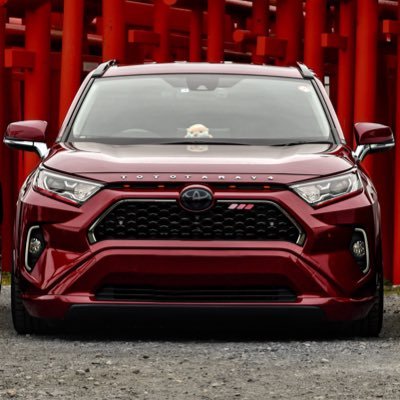 miya_rav4 Profile Picture