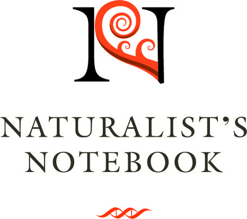 naturalistsnote's profile picture. The Naturalist’s Notebook is a fun, award-winning, nature-and-science-focused interactive exploratorium/shop in Seal Harbor Maine.