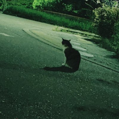 iuEszMpkW6PQzhA's profile picture. 金沢