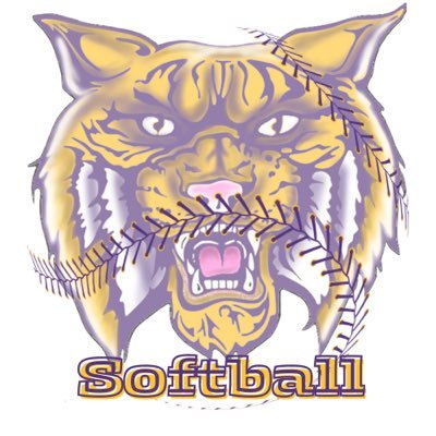 Villa Rica Wildcats Softball Profile