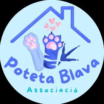 Asociación que lucha por los derechos de los gatos del Prat de Llobregat😻