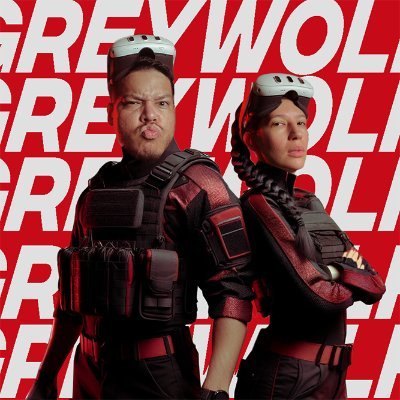 TribeGreywolfVR 🔜GDC25 Profile