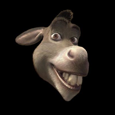 DonkSpl20's profile picture. 3000 unique $DONK