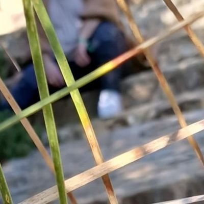 SV8485's profile picture. Odio ciertas biografías me da la gavilla. Sinon tout va bien :)