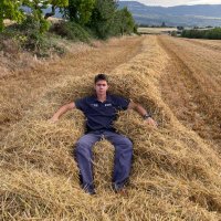 Adria Roset (@adroset) 's Twitter Profile