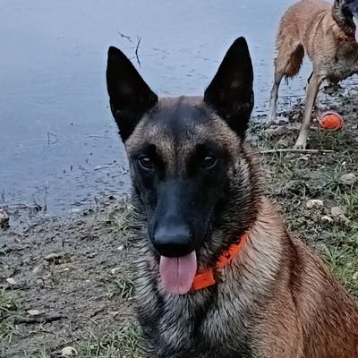 brunomayol1's profile picture. Soit l'ami du temps qui passe, le futur et le passé te seront donnés par surcroît 🇺🇦 🇮🇱