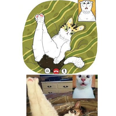 naito1252744's profile picture. Unleashing Ringside Wisdom: MMA Opinions and Insights. Longtime enthusiast for combat sports. Level-headed breakdowns and intuitive analysis. Follow for more!