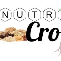 Cultivos Emergentes (@nutricropspain) 's Twitter Profile Photo Cultivos Emergentes (@nutricropspain) 's Twitter Profile Photo