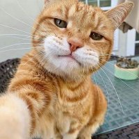Benedict Gilman (@benedictgilman) 's Twitter Profile Photo Benedict Gilman (@benedictgilman) 's Twitter Profile Photo