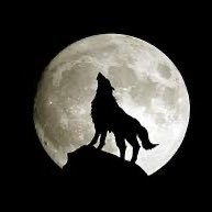 رقبان (@rqban3) Twitter profile photo