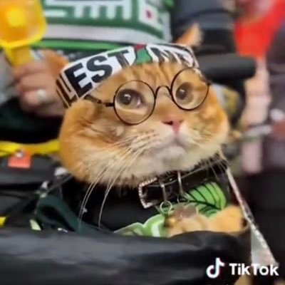 mo_be221's profile picture. 