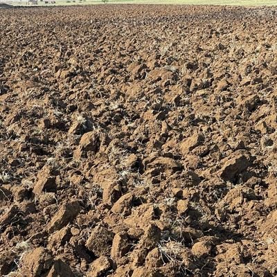 nhavs69's profile picture. Director, Everlasting Arms3327 Care Agency