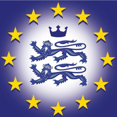 We are a local pro-EU group affiliated to the European Movement @euromove #FBPE #RejoinEU #BrexitHasFailed 🇬🇧❤️🇪🇺 #MarchForRejoin