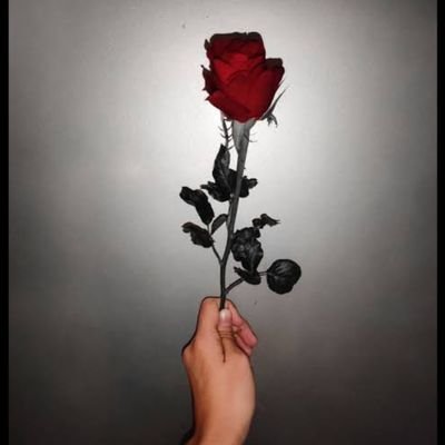 favoritehellow's profile picture. 