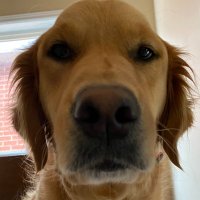 Scott McKenzie π¨π¦π¨π¦π¨π¦π¨π¦ (@wealth_man) 's Twitter Profile
